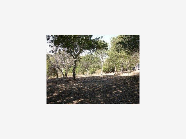 1465 BLACK MOUNTAIN Road, HILLSBOROUGH, California 94010, ,Lots And Land,For Sale,BLACK MOUNTAIN Road,40966688