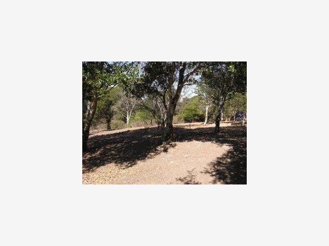 1465 BLACK MOUNTAIN Road, HILLSBOROUGH, California 94010, ,Lots And Land,For Sale,BLACK MOUNTAIN Road,40966688