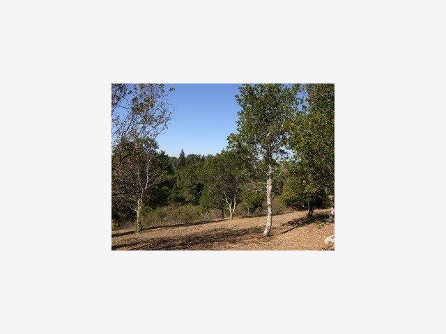 1465 BLACK MOUNTAIN Road, HILLSBOROUGH, California 94010, ,Lots And Land,For Sale,BLACK MOUNTAIN Road,40966688