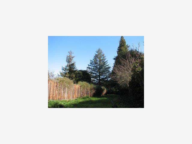 0 Palmer, MENLO PARK, California 94025, ,Lots And Land,For Sale,Palmer,40966673