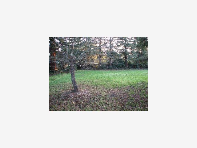 0 Palmer, MENLO PARK, California 94025, ,Lots And Land,For Sale,Palmer,40966673