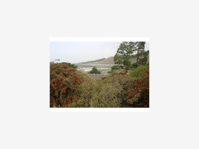 0 Talbot Ave, PACIFICA, California 94044, ,Lots And Land,For Sale,Talbot Ave,40966716
