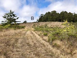 5625 CLOVERDALE, PESCADERO, California 94060, ,Lots And Land,For Sale,CLOVERDALE,40965407