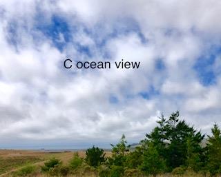 5625 CLOVERDALE, PESCADERO, California 94060, ,Lots And Land,For Sale,CLOVERDALE,40965407