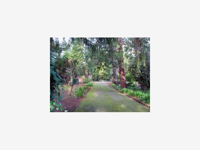 167 BROOKSIDE Drive, PORTOLA VALLEY, California 94028, ,Lots And Land,For Sale,BROOKSIDE Drive,40966906