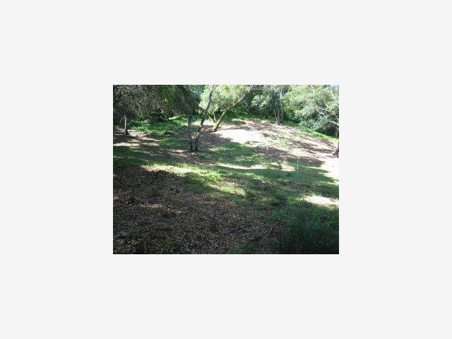 0 GOLDEN HILLS Drive, PORTOLA VALLEY, California 94028, ,Lots And Land,For Sale,GOLDEN HILLS Drive,40966755