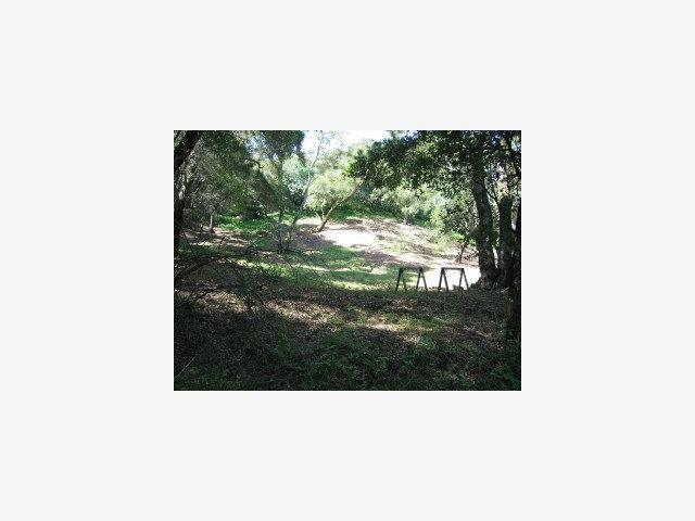 0 GOLDEN HILLS Drive, PORTOLA VALLEY, California 94028, ,Lots And Land,For Sale,GOLDEN HILLS Drive,40966755