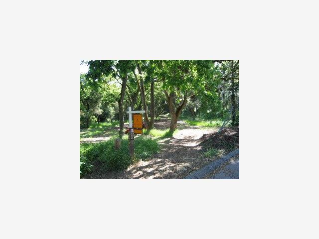 0 GOLDEN HILLS Drive, PORTOLA VALLEY, California 94028, ,Lots And Land,For Sale,GOLDEN HILLS Drive,40966755