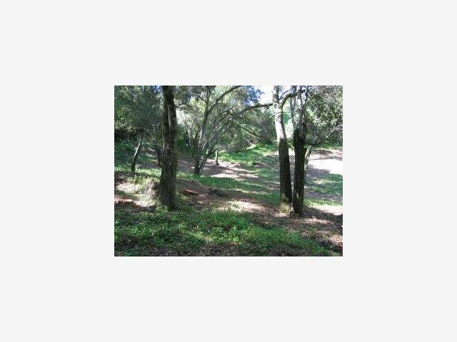 0 GOLDEN HILLS Drive, PORTOLA VALLEY, California 94028, ,Lots And Land,For Sale,GOLDEN HILLS Drive,40966755