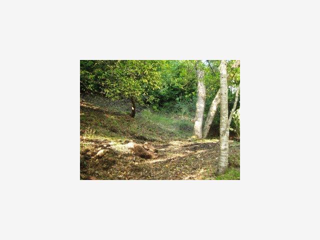0 Ramona Road, PORTOLA VALLEY, California 94028, ,Lots And Land,For Sale,Ramona Road,40966670