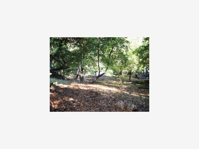 0 Ramona Road, PORTOLA VALLEY, California 94028, ,Lots And Land,For Sale,Ramona Road,40966670