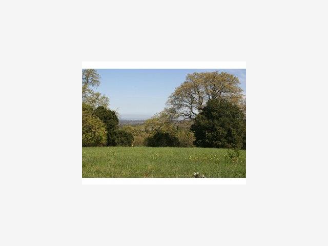 300 WESTRIDGE Drive, PORTOLA VALLEY, California 94028, ,Lots And Land,For Sale,WESTRIDGE Drive,40966663