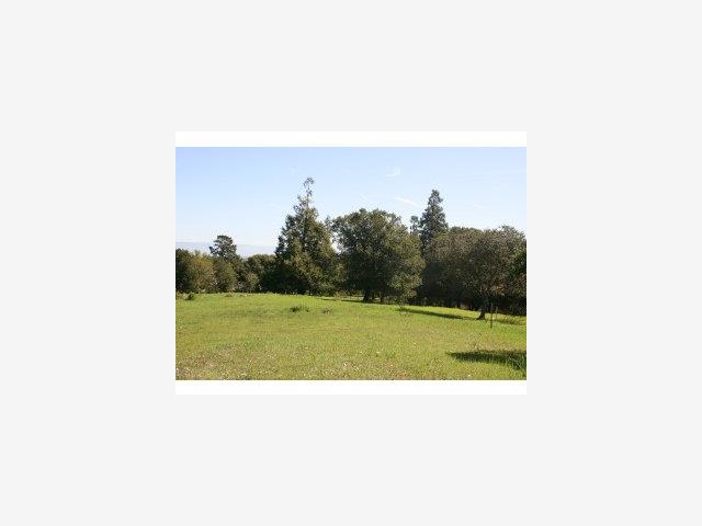 300 WESTRIDGE Drive, PORTOLA VALLEY, California 94028, ,Lots And Land,For Sale,WESTRIDGE Drive,40966663
