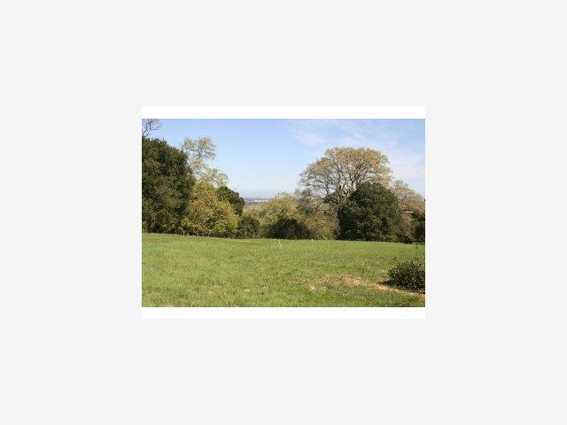 300 WESTRIDGE Drive, PORTOLA VALLEY, California 94028, ,Lots And Land,For Sale,WESTRIDGE Drive,40966663