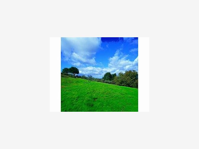 200 GOYA Road, PORTOLA VALLEY, California 94028, ,Lots And Land,For Sale,GOYA Road,40967097