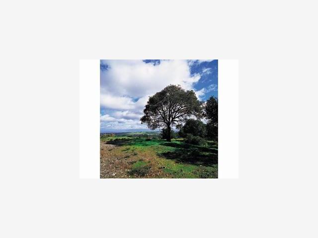 200 GOYA Road, PORTOLA VALLEY, California 94028, ,Lots And Land,For Sale,GOYA Road,40967097