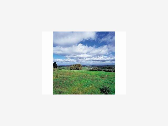 200 GOYA Road, PORTOLA VALLEY, California 94028, ,Lots And Land,For Sale,GOYA Road,40967097