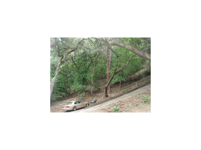 0 Woodland Place, REDWOOD CITY, California 94062, ,Lots And Land,For Sale,Woodland Place,40966658