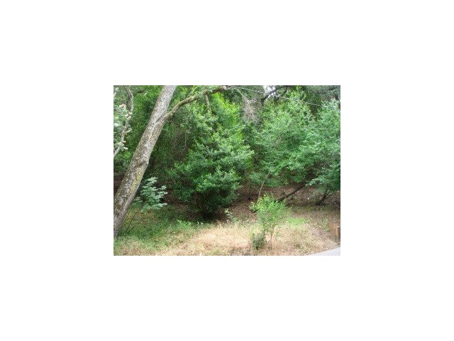 0 Woodland Place, REDWOOD CITY, California 94062, ,Lots And Land,For Sale,Woodland Place,40966658