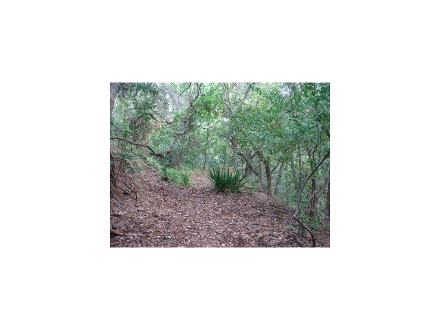 0 Woodland Place, REDWOOD CITY, California 94062, ,Lots And Land,For Sale,Woodland Place,40966658