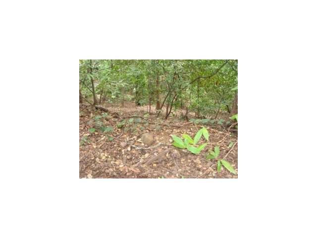 0 Woodland Place, REDWOOD CITY, California 94062, ,Lots And Land,For Sale,Woodland Place,40966658