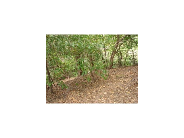 0 Woodland Place, REDWOOD CITY, California 94062, ,Lots And Land,For Sale,Woodland Place,40966658