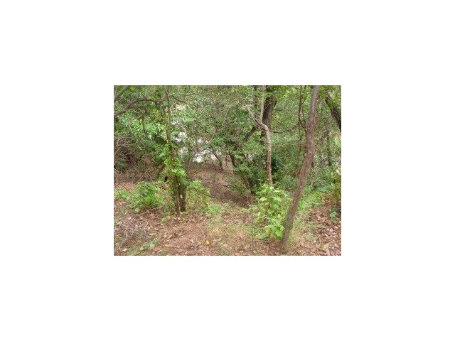 0 Woodland Place, REDWOOD CITY, California 94062, ,Lots And Land,For Sale,Woodland Place,40966658