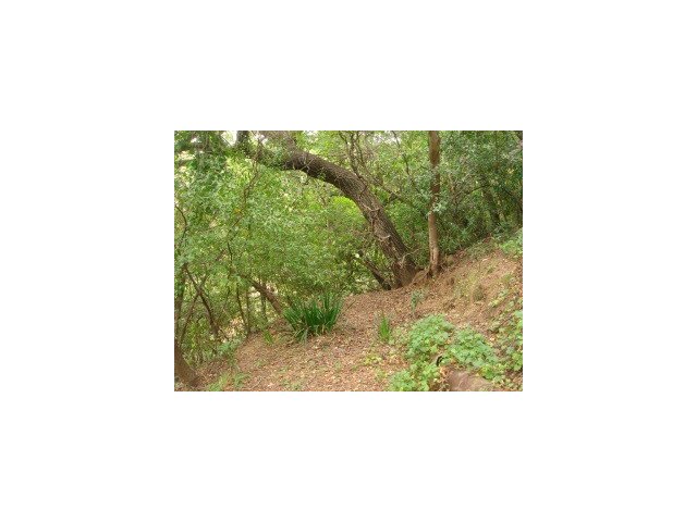 0 Woodland Place, REDWOOD CITY, California 94062, ,Lots And Land,For Sale,Woodland Place,40966658