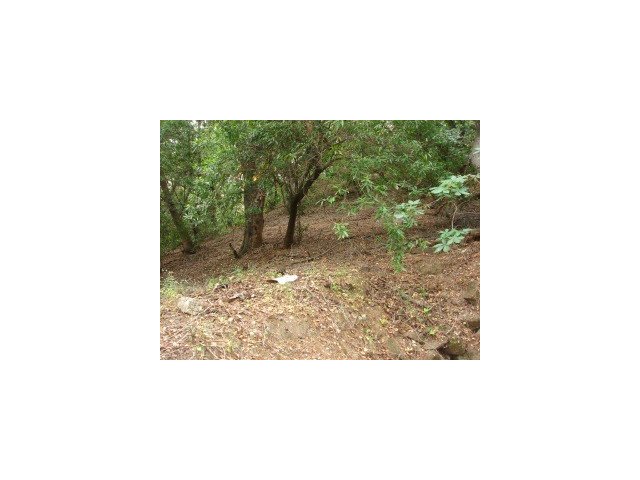 0 Woodland Place, REDWOOD CITY, California 94062, ,Lots And Land,For Sale,Woodland Place,40966658