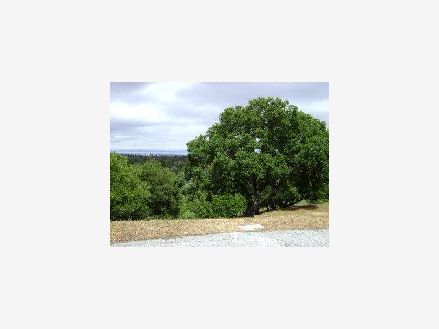 0 Fox Crossing Court, REDWOOD CITY, California 94062, ,Lots And Land,For Sale,Fox Crossing Court,40966656