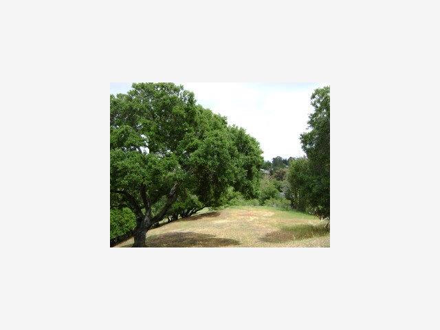 0 Fox Crossing Court, REDWOOD CITY, California 94062, ,Lots And Land,For Sale,Fox Crossing Court,40966656