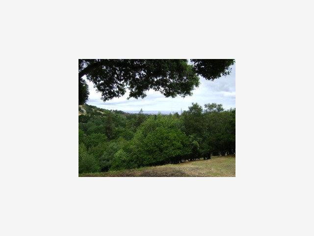 0 Fox Crossing Court, REDWOOD CITY, California 94062, ,Lots And Land,For Sale,Fox Crossing Court,40966656