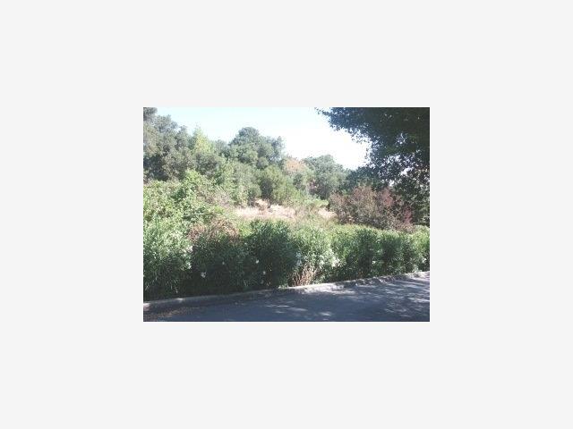 Vista Drive, REDWOOD CITY, California 94062, ,Lots And Land,For Sale,Vista Drive,40966822