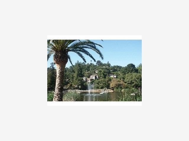 Vista Drive, REDWOOD CITY, California 94062, ,Lots And Land,For Sale,Vista Drive,40966822