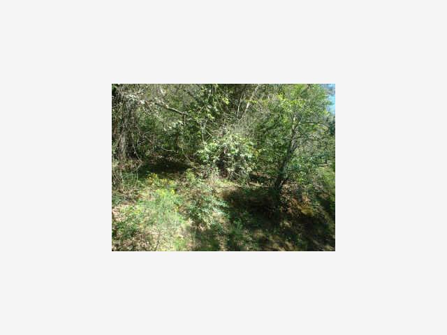 0 Sylvan, REDWOOD CITY, California 94062, ,Lots And Land,For Sale,Sylvan,40966867
