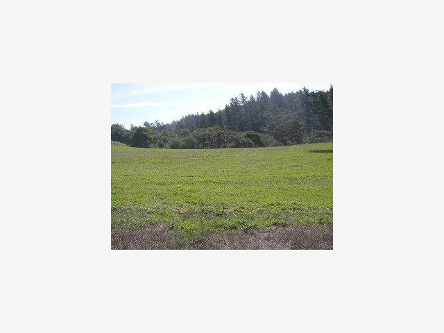 119 Hildebrand, WOODSIDE, California 94020, ,Lots And Land,For Sale,Hildebrand,40966713