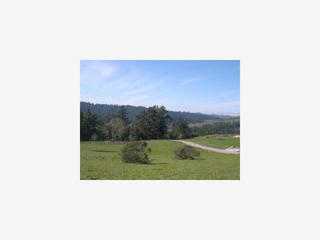 119 Hildebrand, WOODSIDE, California 94020, ,Lots And Land,For Sale,Hildebrand,40966713