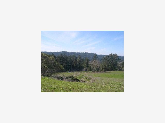 119 Hildebrand, WOODSIDE, California 94020, ,Lots And Land,For Sale,Hildebrand,40966713