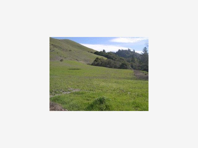 119 Hildebrand, WOODSIDE, California 94020, ,Lots And Land,For Sale,Hildebrand,40966713
