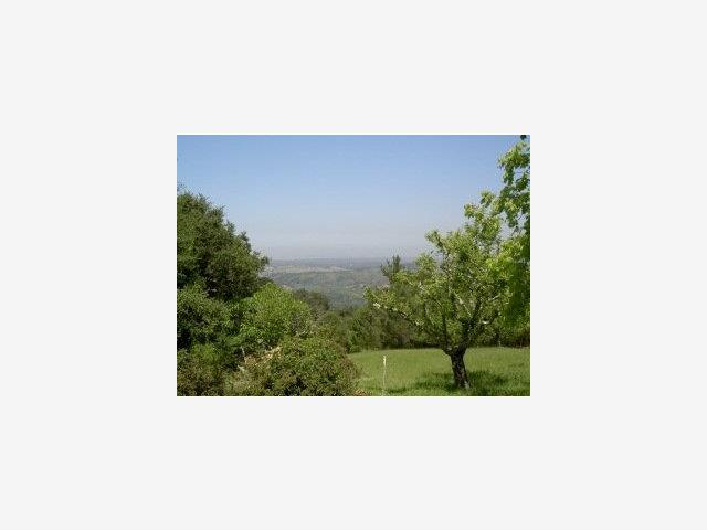 503 OLD LA HONDA Road, WOODSIDE, California 94062, ,Lots And Land,For Sale,OLD LA HONDA Road,40966847
