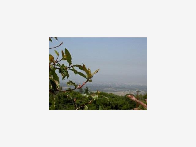 503 OLD LA HONDA Road, WOODSIDE, California 94062, ,Lots And Land,For Sale,OLD LA HONDA Road,40966847