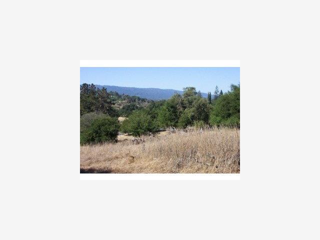 475 Moore Road, WOODSIDE, California 94062, ,Lots And Land,For Sale,Moore Road,40966793