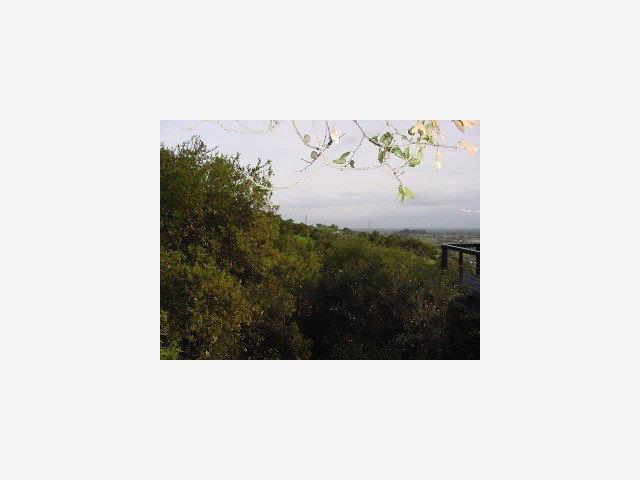 000 SAN JUAN Road, CUPERTINO, California 95014, ,Lots And Land,For Sale,SAN JUAN Road,40966874