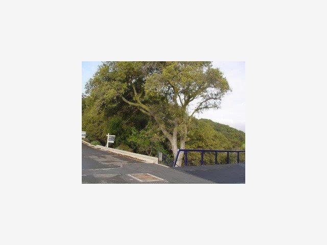 000 SAN JUAN Road, CUPERTINO, California 95014, ,Lots And Land,For Sale,SAN JUAN Road,40966874