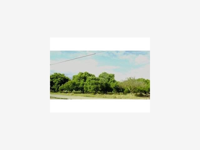 0 Sheldon Avenue, GILROY, California 95020, ,Lots And Land,For Sale,Sheldon Avenue,40966848