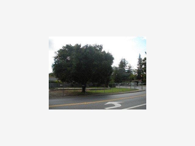 300 CUESTA Drive, LOS ALTOS, California 94024, ,Lots And Land,For Sale,CUESTA Drive,40966659
