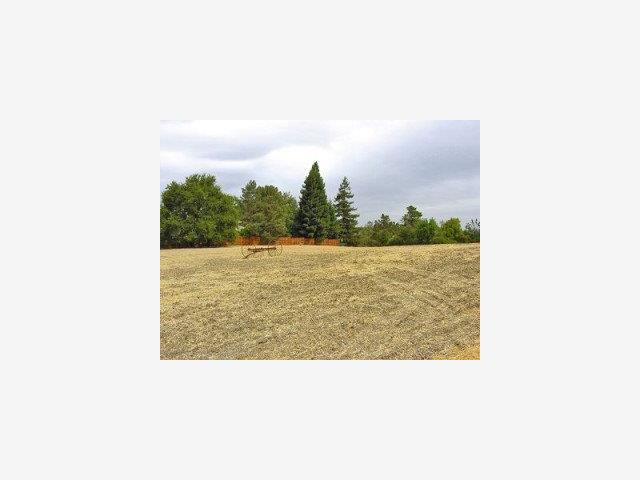 LA LOMA Drive, LOS ALTOS HILLS, California 94022, ,Lots And Land,For Sale,LA LOMA Drive,40966827
