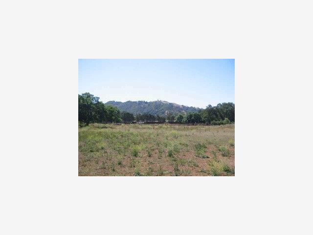 13575 SYCAMORE Drive, MORGAN HILL, California 95037, ,Lots And Land,For Sale,SYCAMORE Drive,40966710