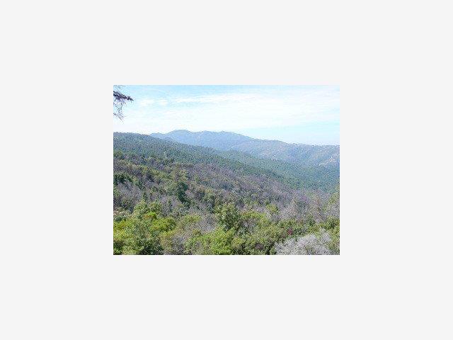 MT MADONNA Road, MORGAN HILL, California 95037, ,Lots And Land,For Sale,MT MADONNA Road,40966782