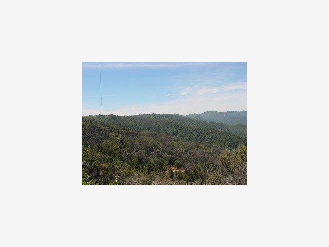 MT MADONNA Road, MORGAN HILL, California 95037, ,Lots And Land,For Sale,MT MADONNA Road,40966782